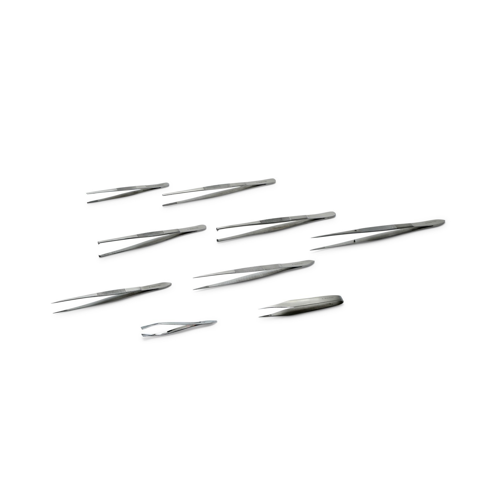 Pinzetten__Gruppe