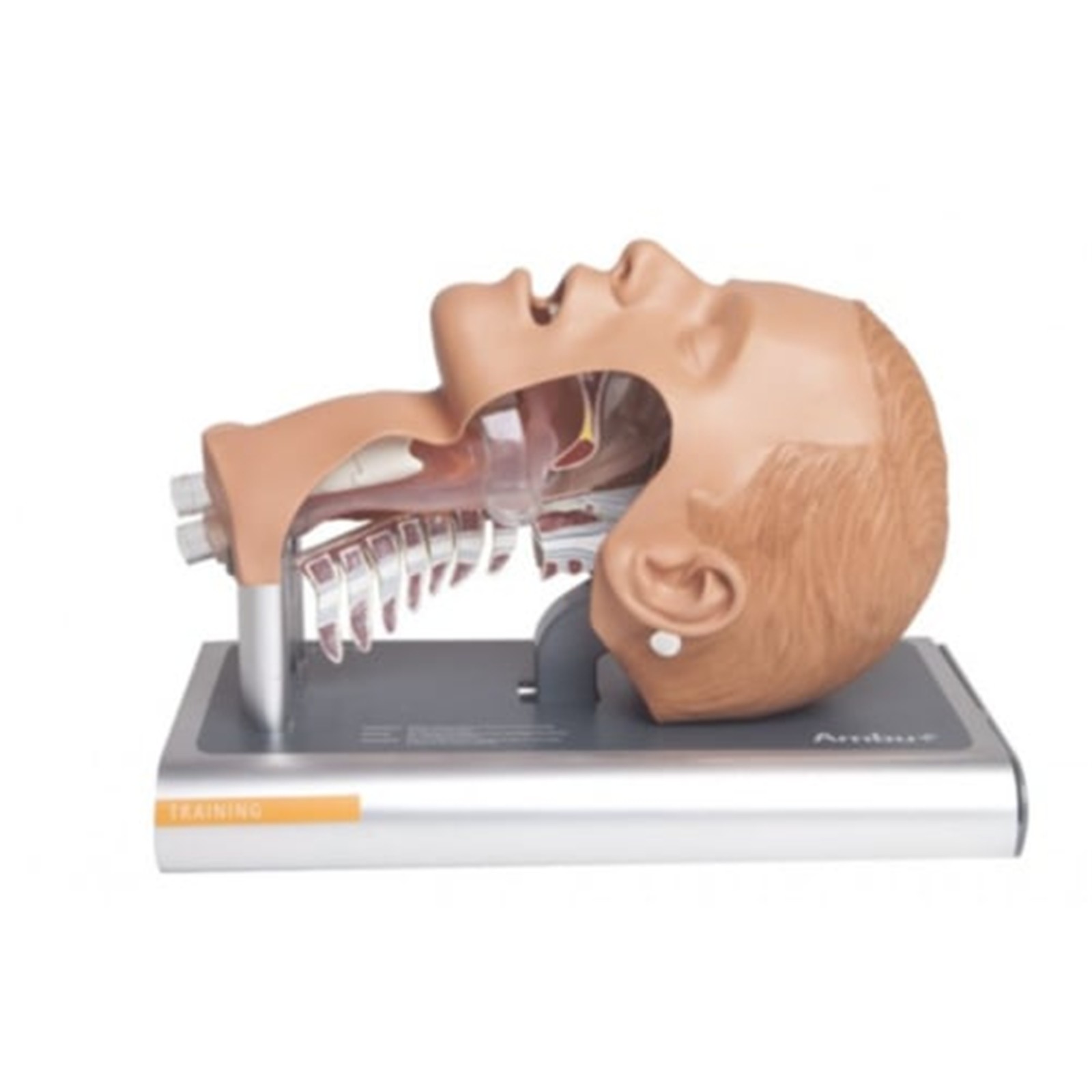 ambu_airway_management_trainer_2